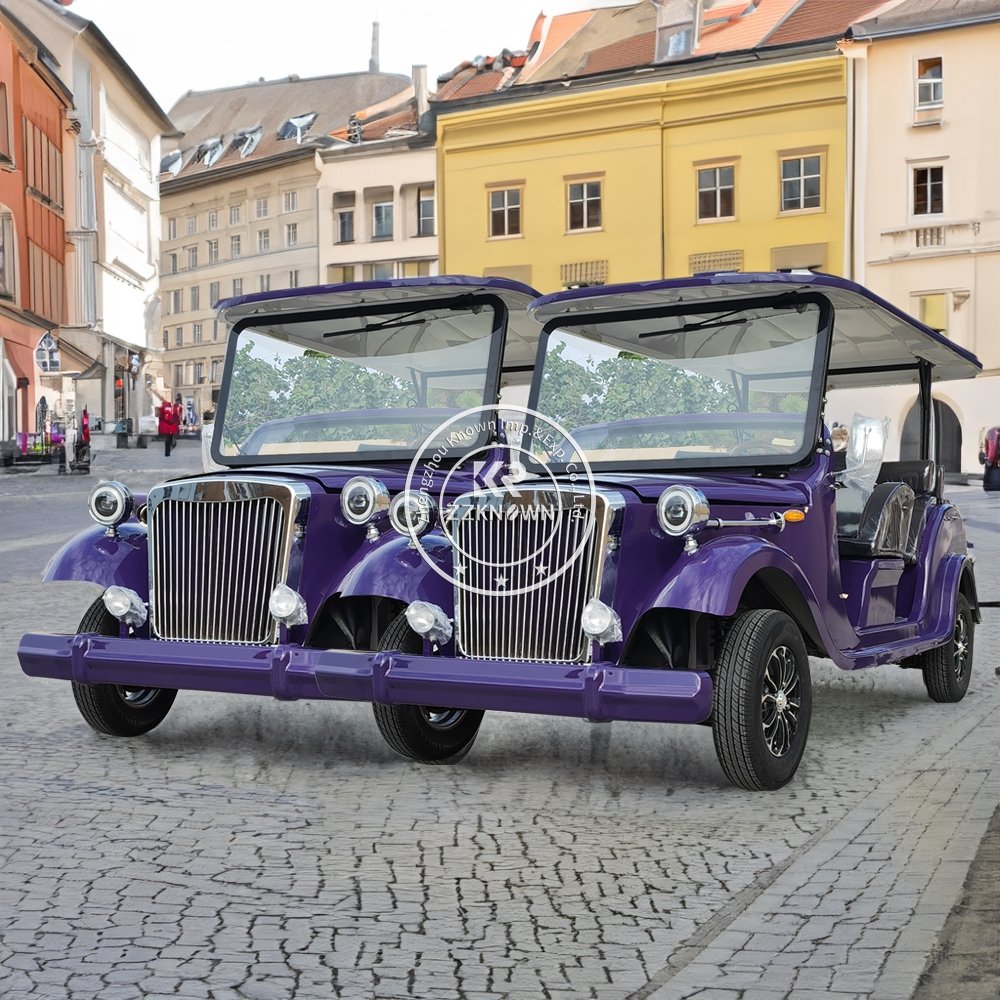 2025 CE Approved Factory Price Sightseeing Car Manufacturer Electric Tourist Sightseeing Bus For Sale