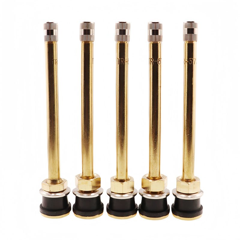 Tr570, Tr571, Tr572, Tr573, Tr574 Tubeless Tyre Metal Clamp-in Tire Valves for Truck and Bus