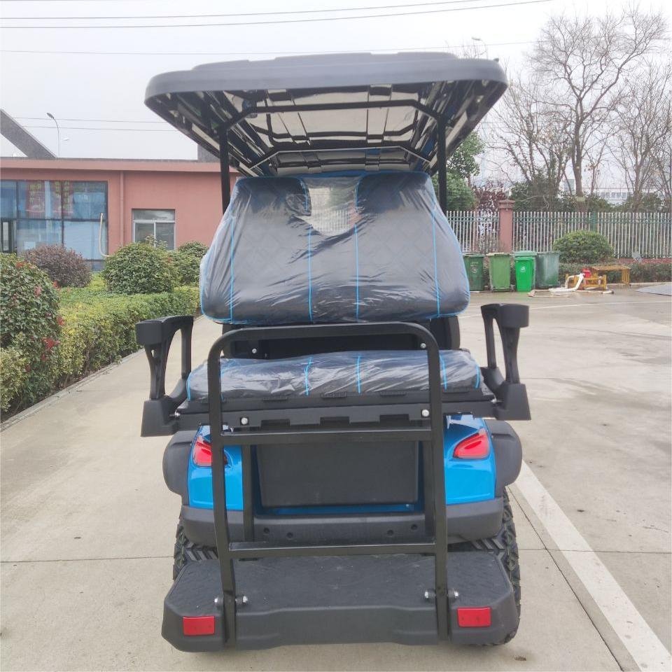 Smart 4-Wheel Battery Power Electric Buggy 2-Person Cart for Sale High-Affinity Electric Vehicle Brand