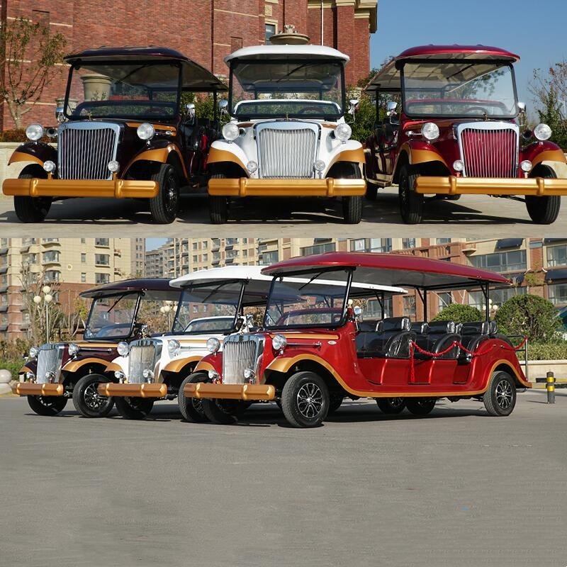Golf Buggies Electric Golf Buggy Electric Cart Single Seat 3 Wheel Malaysia