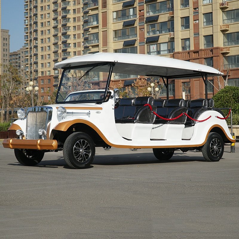 Golf Buggies Electric Golf Buggy Electric Cart Single Seat 3 Wheel Malaysia