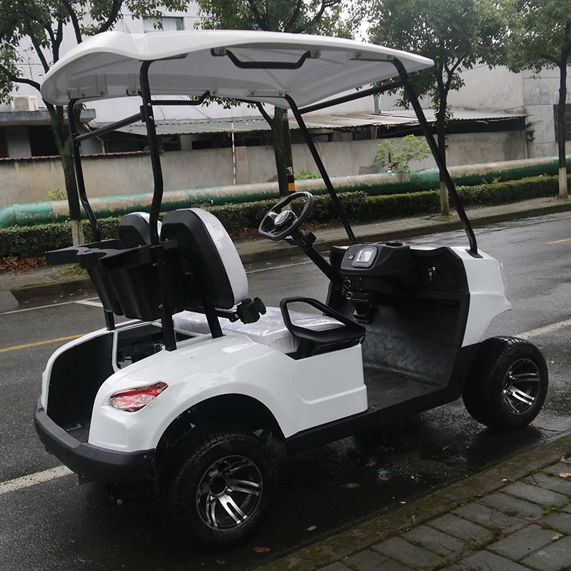Chinese 4 Wheel Mini Electric Golf Cart High-speed Electric Golf Cart 2 Person Electric Luxury Golf Cart