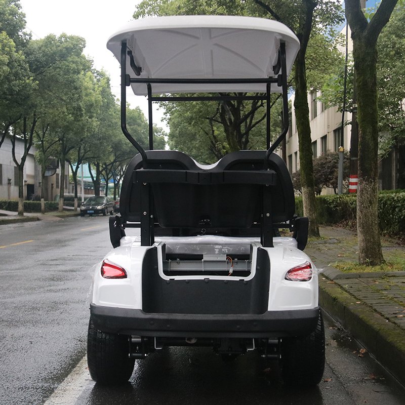 Chinese 4 Wheel Mini Electric Golf Cart High-speed Electric Golf Cart 2 Person Electric Luxury Golf Cart