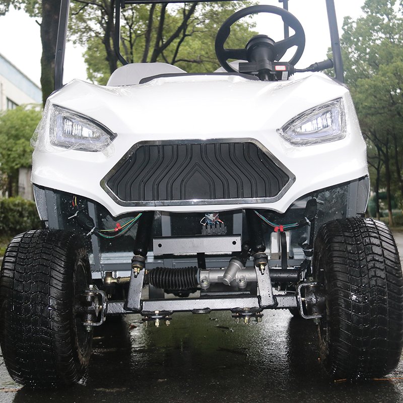 Chinese 4 Wheel Mini Electric Golf Cart High-speed Electric Golf Cart 2 Person Electric Luxury Golf Cart