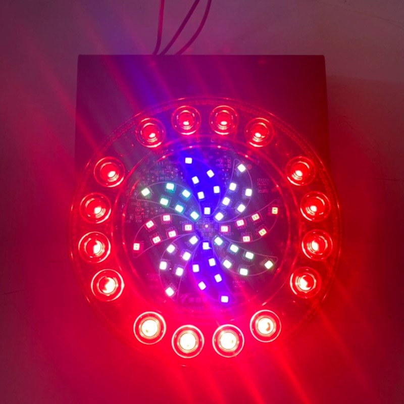 White Error Free Car Led Number Plate Light Rear Tail Lamp Waterproof 24V Canbus Auto Led License Plate Light for Back