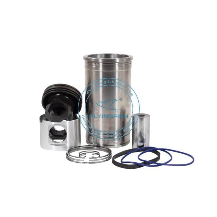 OEM Grade DD15 Diesel Engine Parts Piston Kit A4720302317 Piston A4720371401 Pin A4720370320 Ring A4720300624
