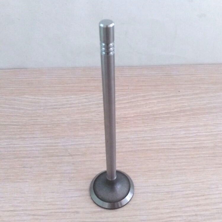 Engine Parts for Mitsubishi Fuso F1C 4P10 F30DTE Engine Valve for Sale