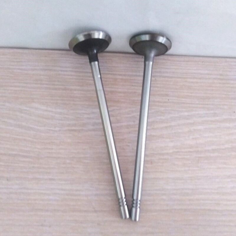 Engine Parts for Mitsubishi Fuso F1C 4P10 F30DTE Engine Valve for Sale
