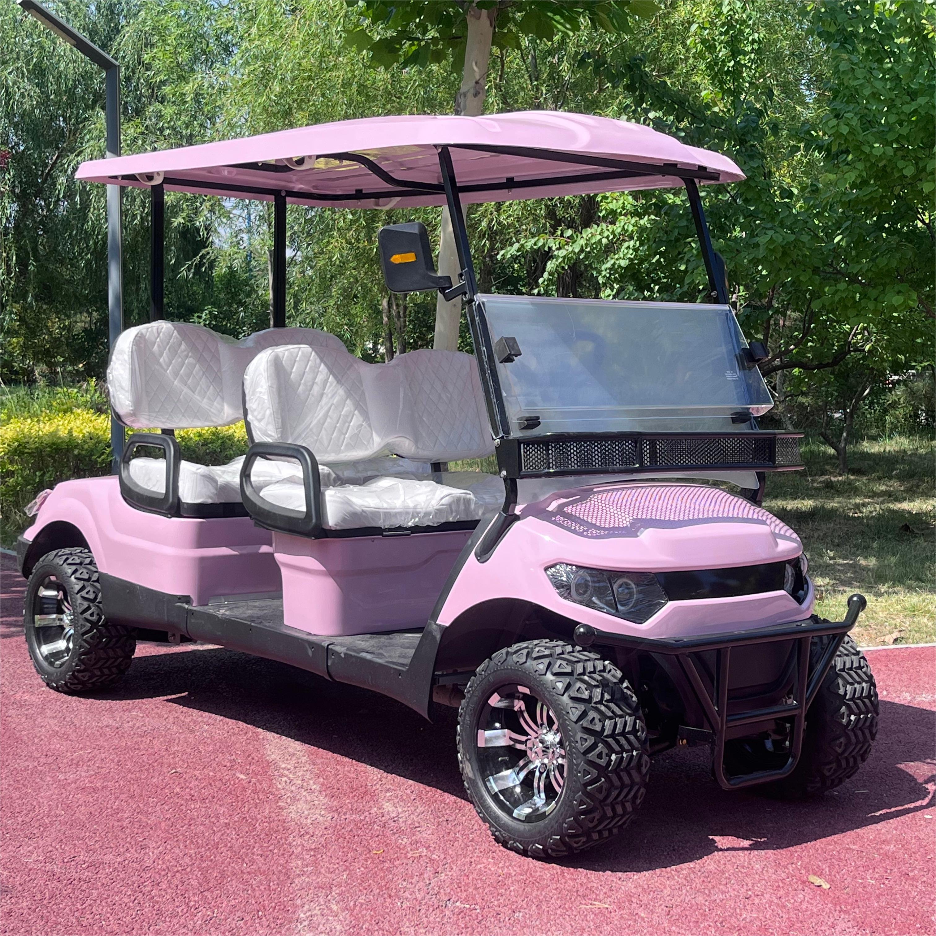 Factory Direct Sell Golf Buggy 2 Wheel Electric Mini Single Seat Electr Golf Cart Price