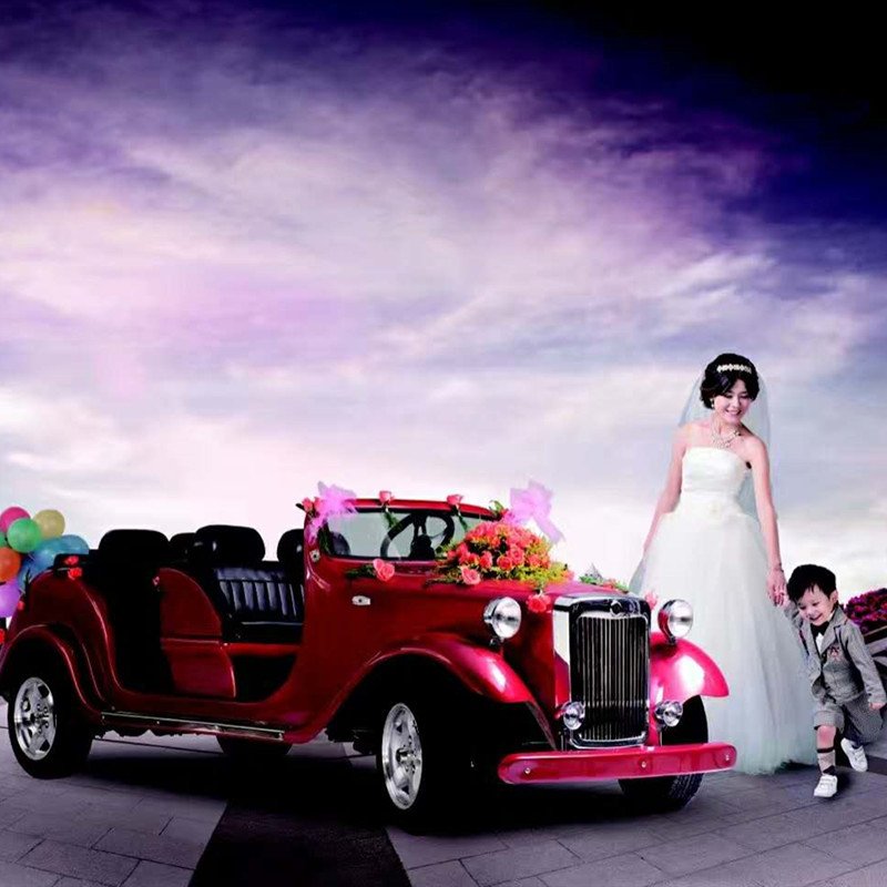 CE Certified 12 Seat Fuel Classic Vintage Car Tour Gasoline Powered Sightseeing Car
