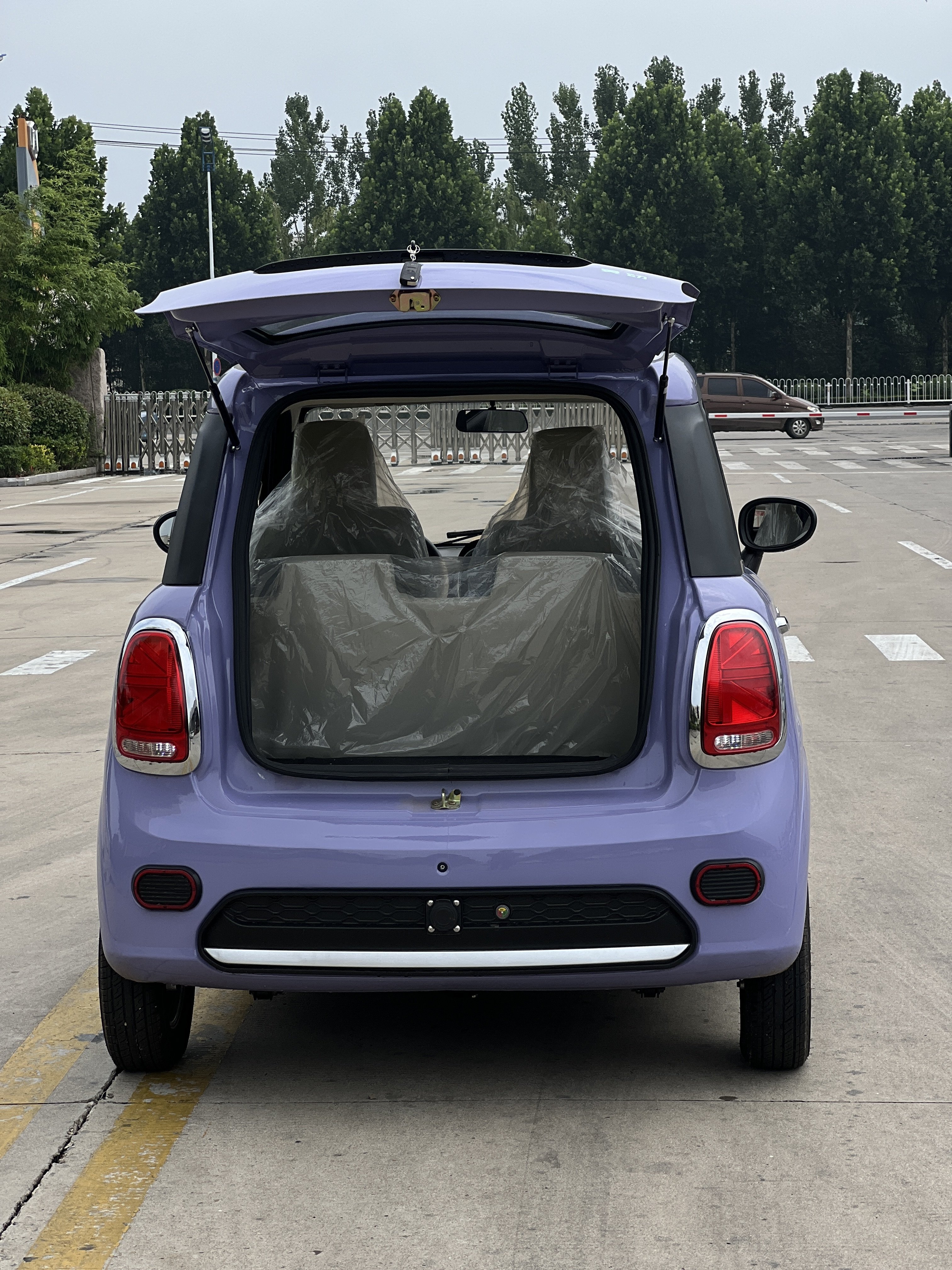 Best New Product of 2024: Factory Direct Sales of Electric Vehicle From China