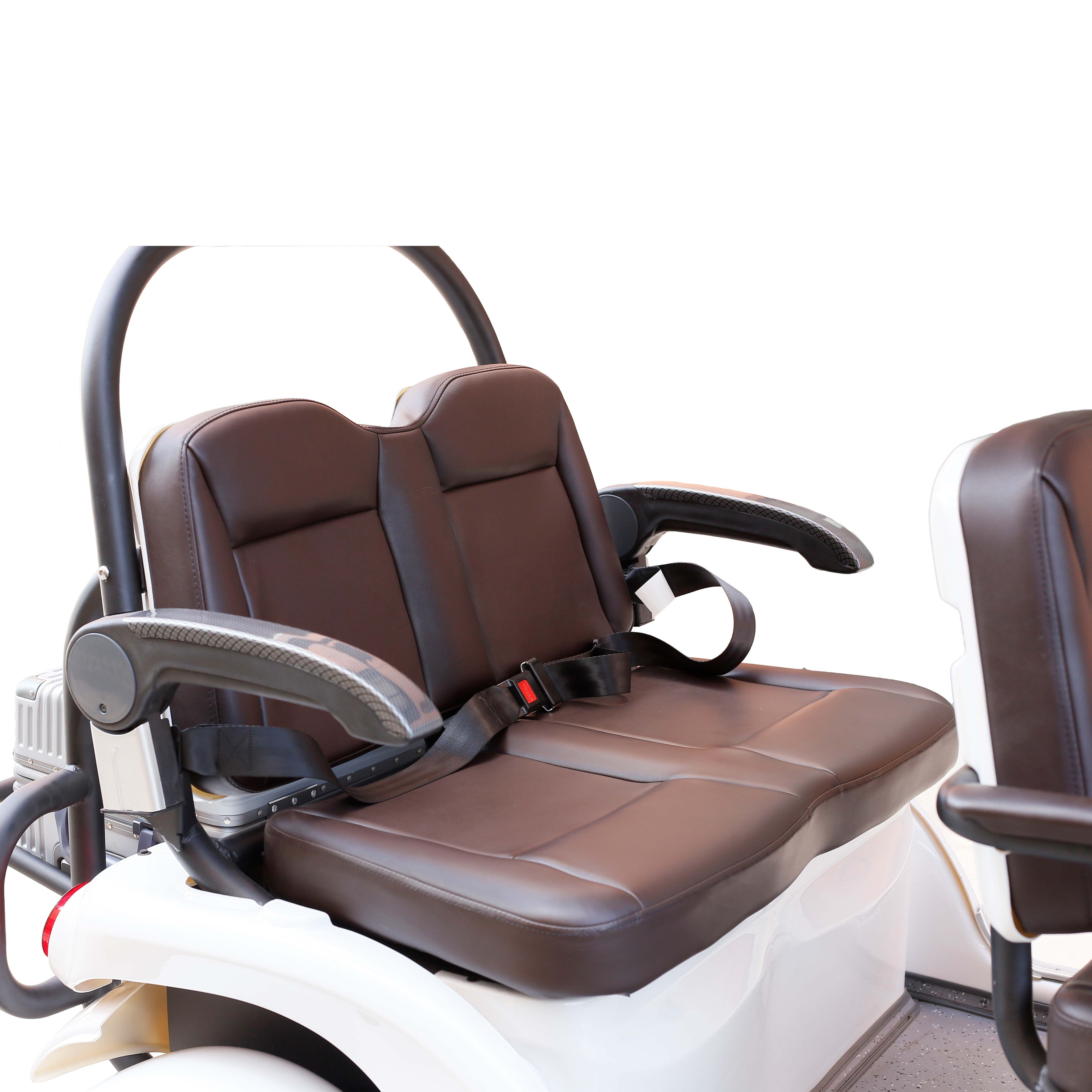 Lithium Battery 4 Seater Electric Openbody Bus