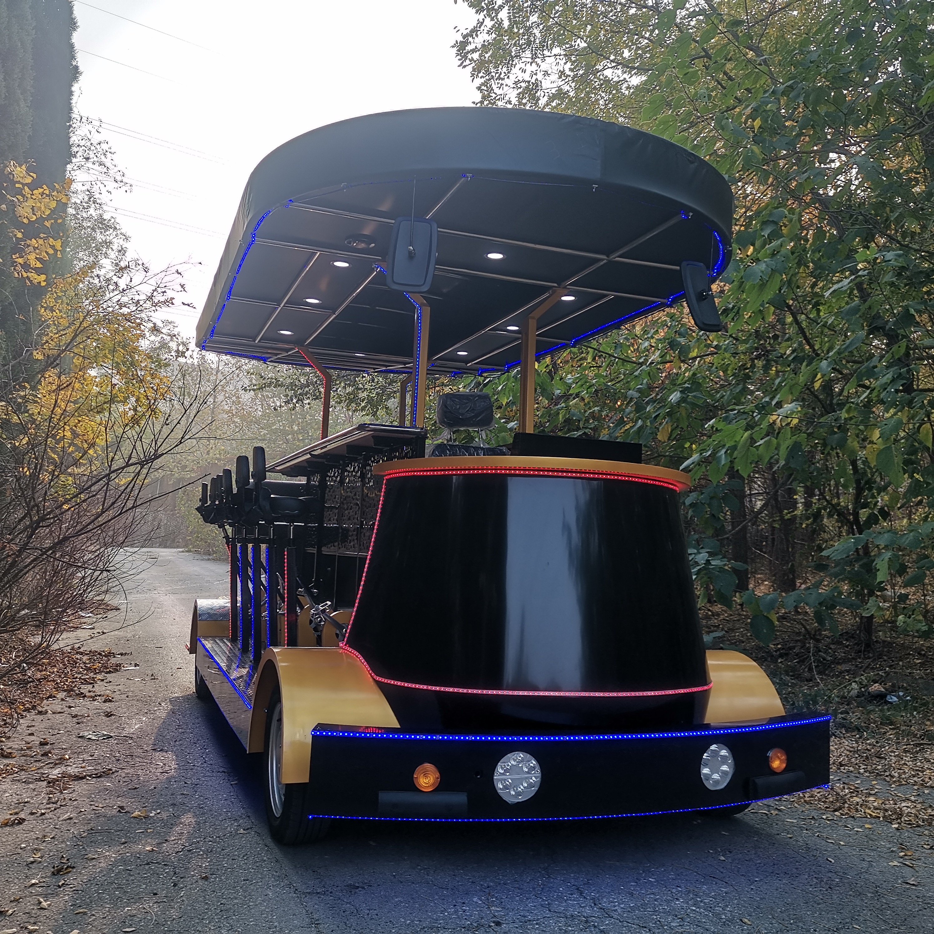 Mobile Bar Cart Electric Sightseeing Bus Vehicle Party Bike Pedal Pub Car Beer Bike for Sale 60V Tuk Tuk Electric 7 Seats Eec 16