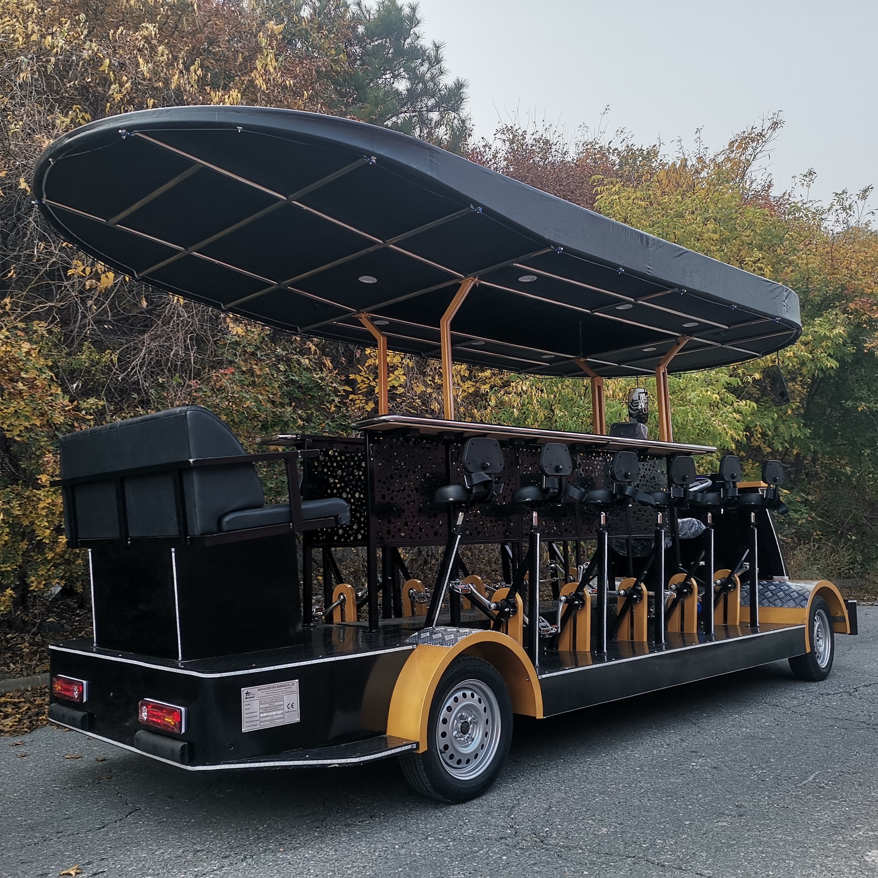 Mobile Bar Cart Electric Sightseeing Bus Vehicle Party Bike Pedal Pub Car Beer Bike for Sale 60V Tuk Tuk Electric 7 Seats Eec 16