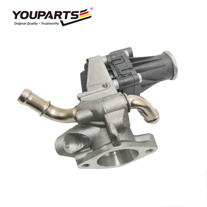 YOUPARTS OEM 1673226 9C1Q9D475AB Auto EGR Valve for FORD