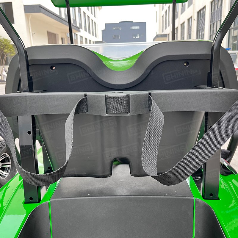 Shining Brand Hunting Gas Golf Cart Buggy Electric 2 Seater 48v Lithium Battery Mini Golf Car Gas Power Golf Buggies