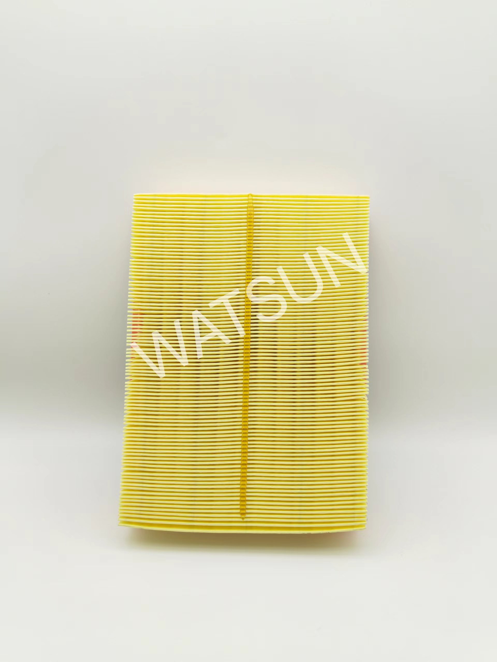 OEM Manufacturer CN1C15-9601-AA for Ford(JMC) Transit Light Truck Engine Accessories air Filter