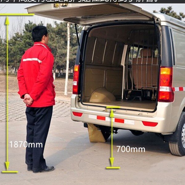 DONGFENG LHD/RHD C35 Mini Van