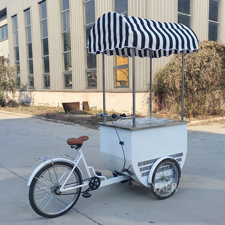 Bike Tricycle for Sale, Bicycle Ice Cream Oem Mobile Food Vending Cart 3 Wheel Coffee Fruit Mobile Restaurant Bus Double Deck