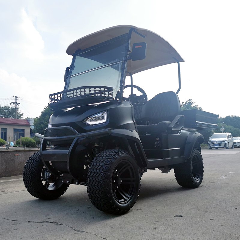 Hydraulic Lifted Rear Cargo Box Electric Utility Golf Carts for Sale