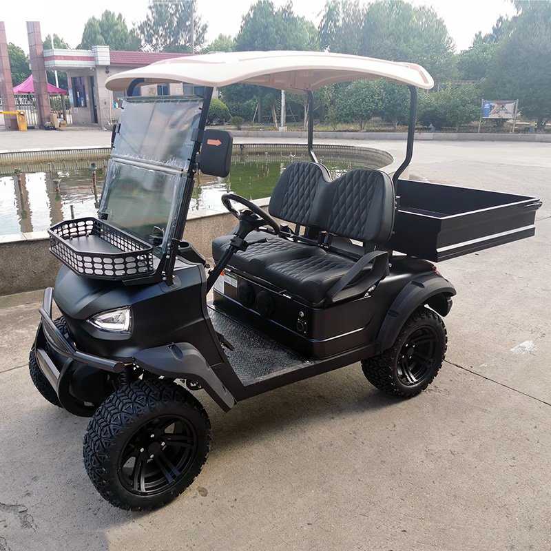 Hydraulic Lifted Rear Cargo Box Electric Utility Golf Carts for Sale