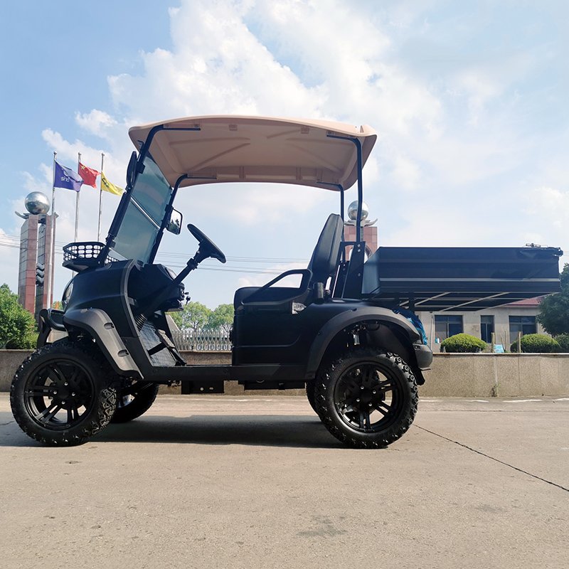 Hydraulic Lifted Rear Cargo Box Electric Utility Golf Carts for Sale