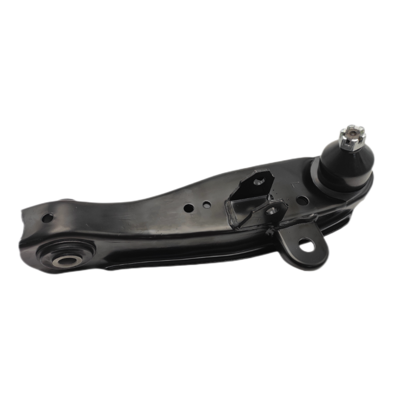 OPASS Adjustable Rear Lower Camber Control Arm for HYUNDAI H100 93-04 for 54540-43150 R 54510-43150 L Car OEM Ball
