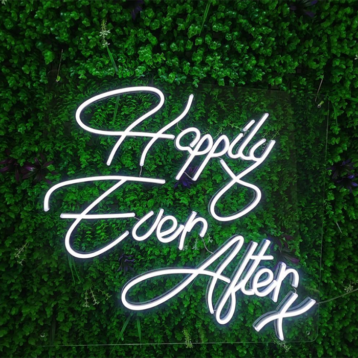 Custom 3D Flex Lighted Acrylic Neon Logo Sign for Restaurants and Shops Manufactured LED Strips for Company Signage
