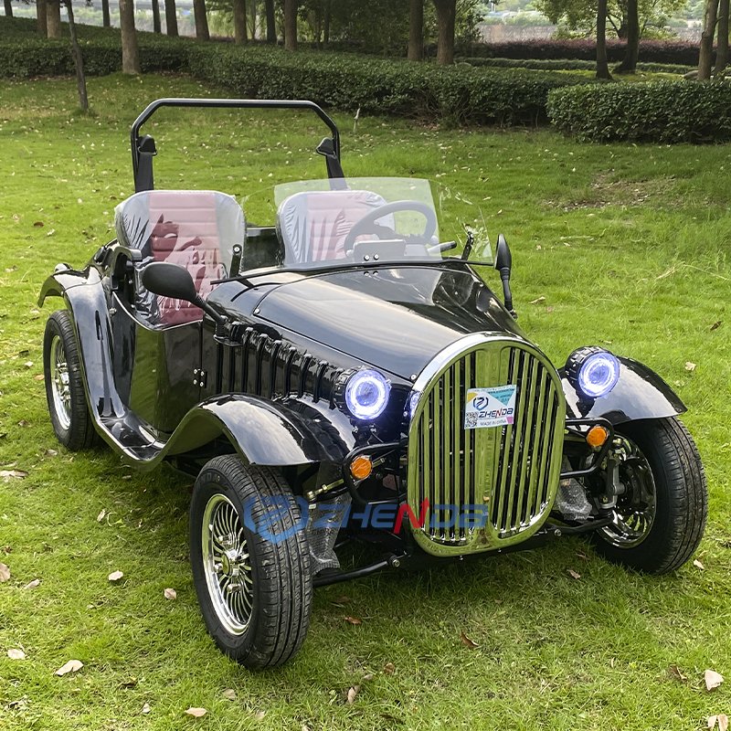 New Cars Luxurious Car Hot Sale Brand Vintage Classic Travel Sightseeing 2 Seats Sightseeing Electric Car
