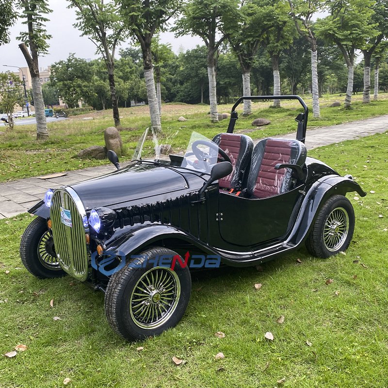 New Cars Luxurious Car Hot Sale Brand Vintage Classic Travel Sightseeing 2 Seats Sightseeing Electric Car