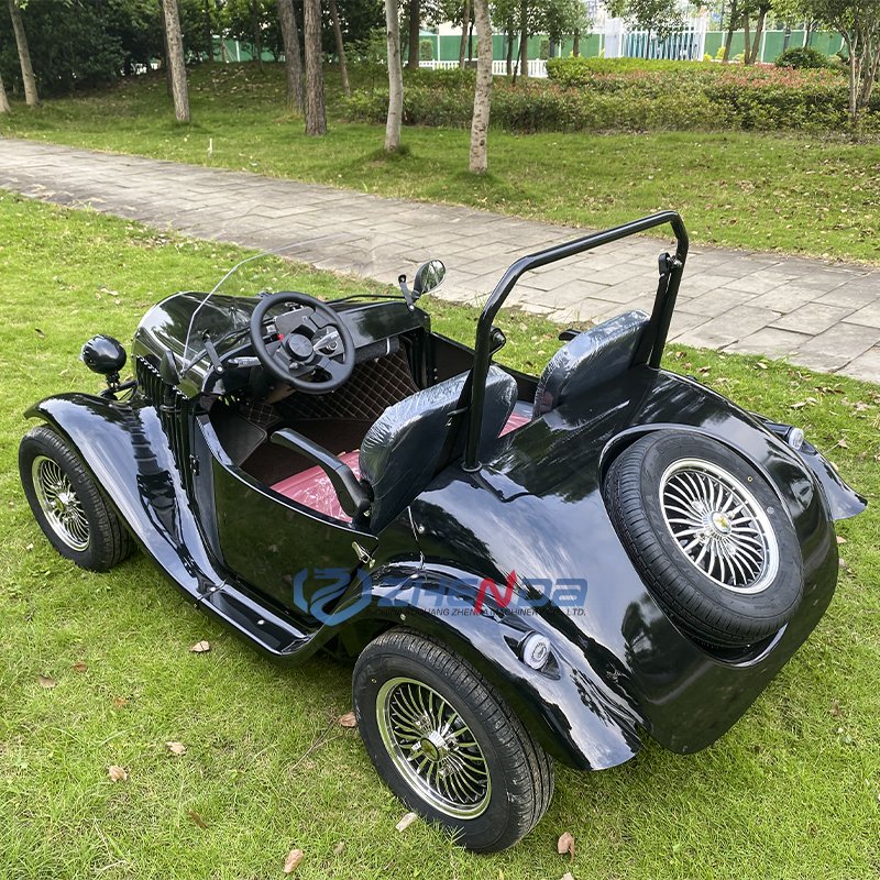 New Cars Luxurious Car Hot Sale Brand Vintage Classic Travel Sightseeing 2 Seats Sightseeing Electric Car