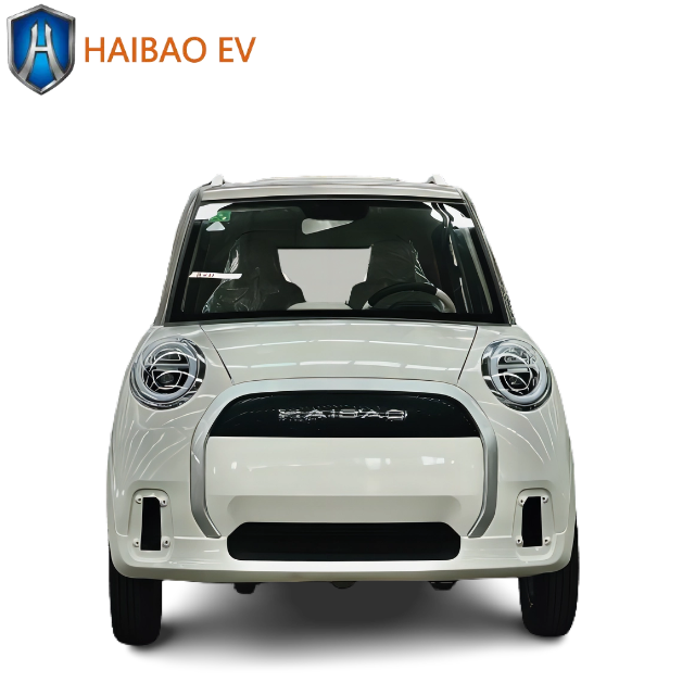 3000W Four Wheeler Electric Car Electric Passenger Convenient Vehicle