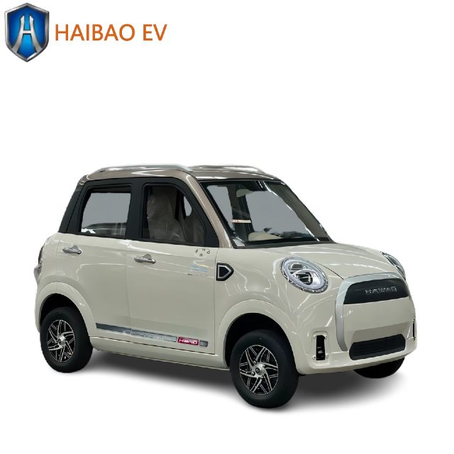 3000W Four Wheeler Electric Car Electric Passenger Convenient Vehicle