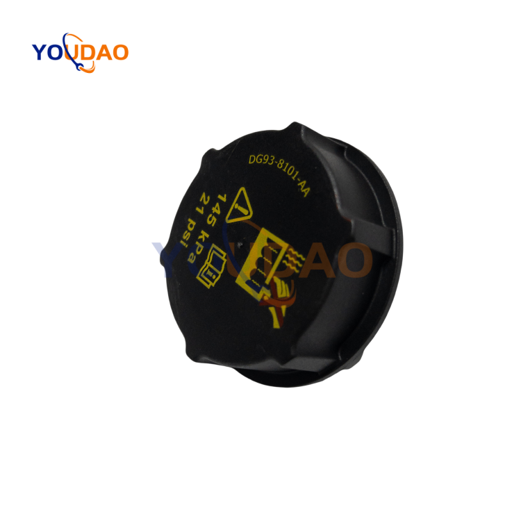 DG938101AA 5193938 Hot Sale Auto Spare Accessories Parts Car Radiator Coolant Reservoir Tank DG93-8101-AA