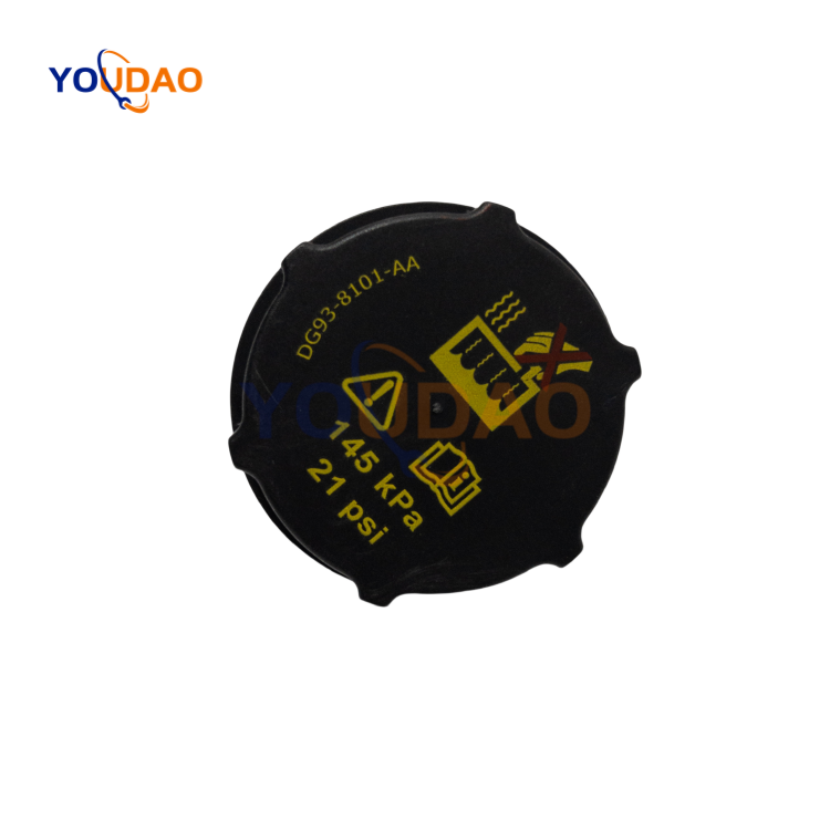 DG938101AA 5193938 Hot Sale Auto Spare Accessories Parts Car Radiator Coolant Reservoir Tank DG93-8101-AA