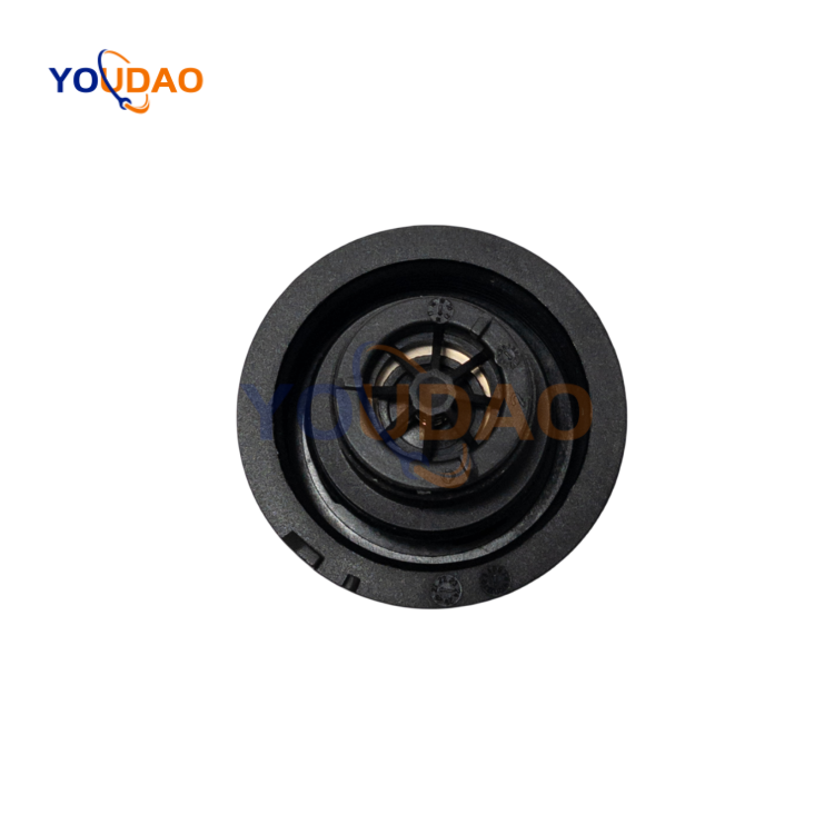 DG938101AA 5193938 Hot Sale Auto Spare Accessories Parts Car Radiator Coolant Reservoir Tank DG93-8101-AA