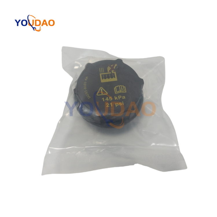 DG938101AA 5193938 Hot Sale Auto Spare Accessories Parts Car Radiator Coolant Reservoir Tank DG93-8101-AA