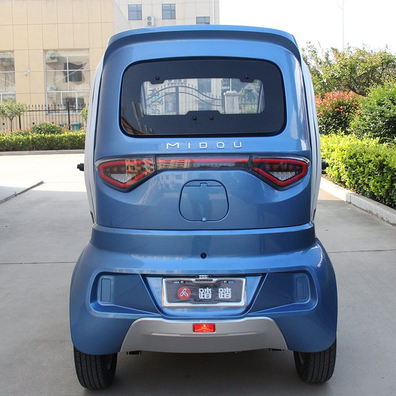 Chinese New Model 3 Wheel Adult Electric Motorcycle Tricycle for Passenger