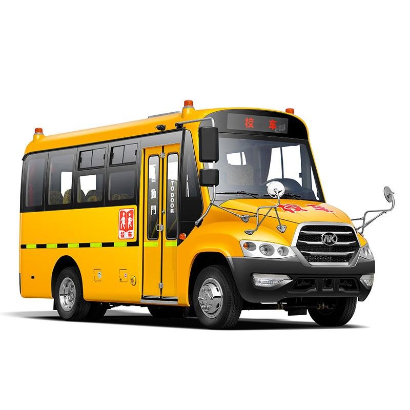 Professional Customized School Bus , Luxury Bus for Student