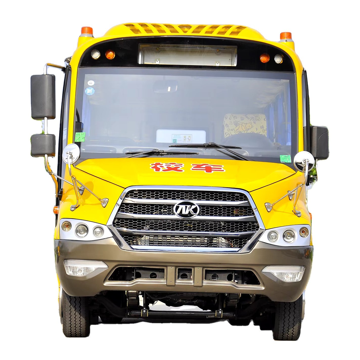 Professional Customized School Bus , Luxury Bus for Student