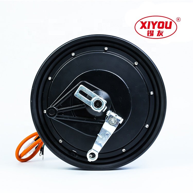 The Most Popular 10 Inch 800w 60v Electric Vehicles, Two Wheelers, Light Motorcycles, and Wheel Hub Motors in 2024