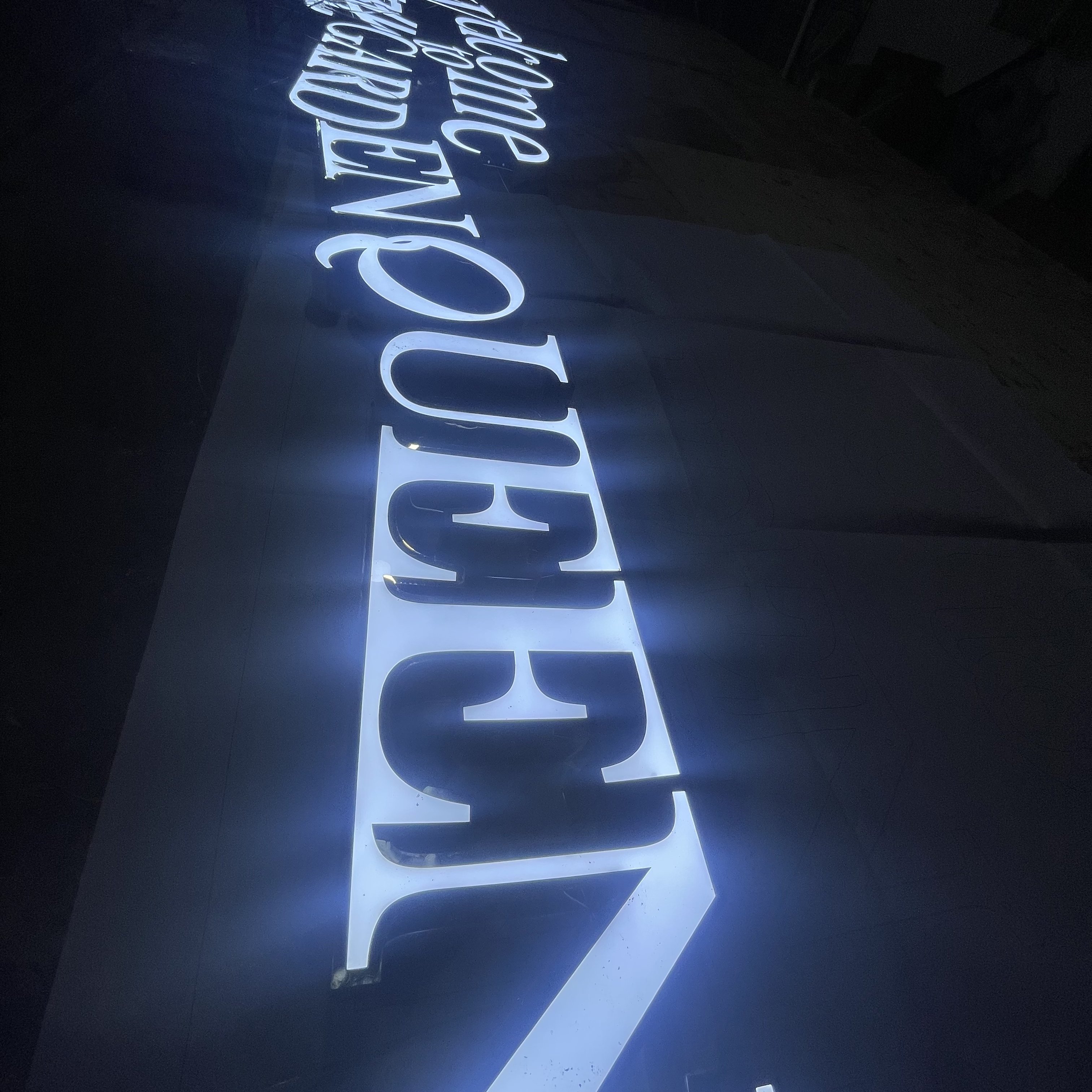 2025 Customizable 12V Indoor/Outdoor Commercial Advertising Stainless Steel Metal 3D Logo Door Heads DC Power Bars Neon Signs