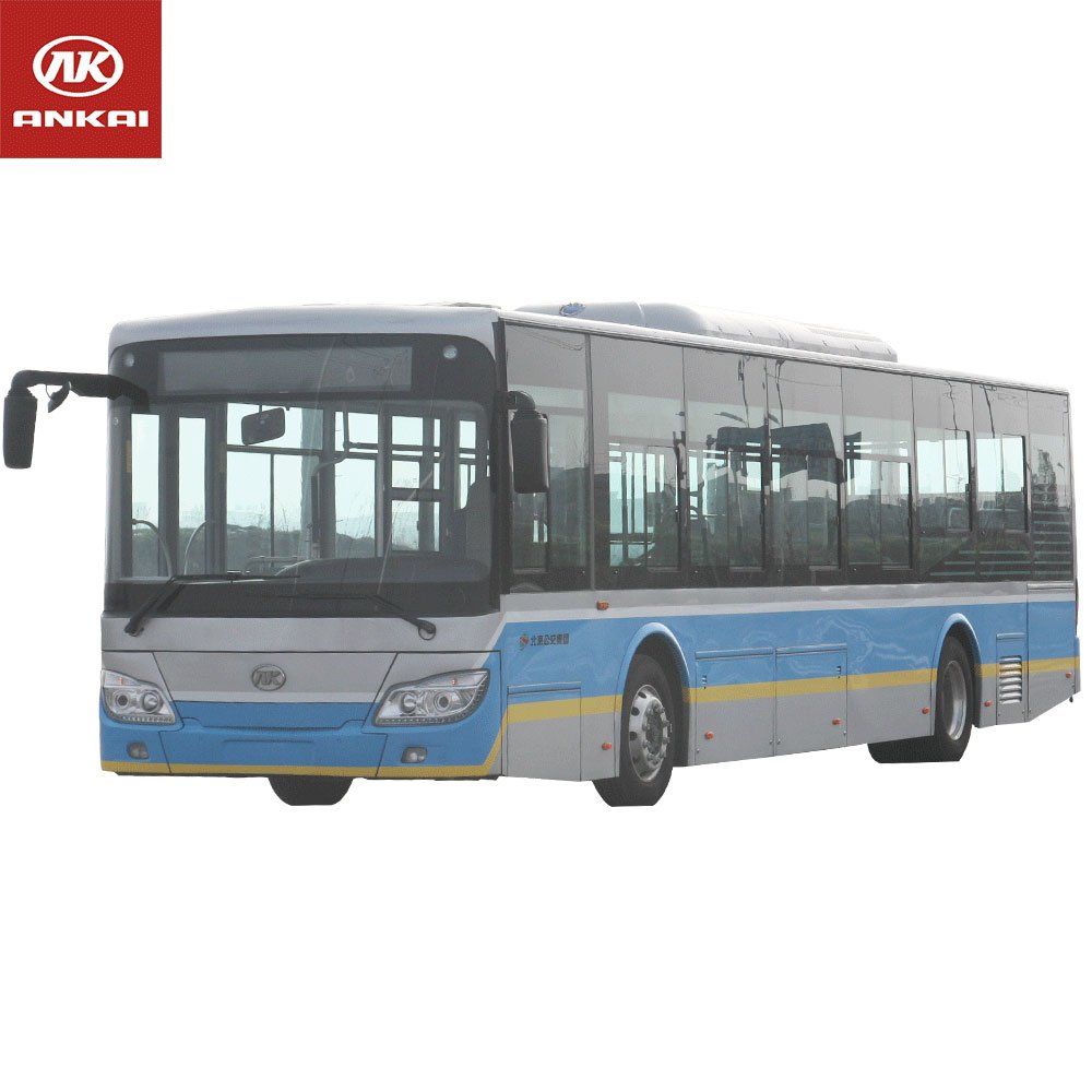 Customized 12 m diesel Bus