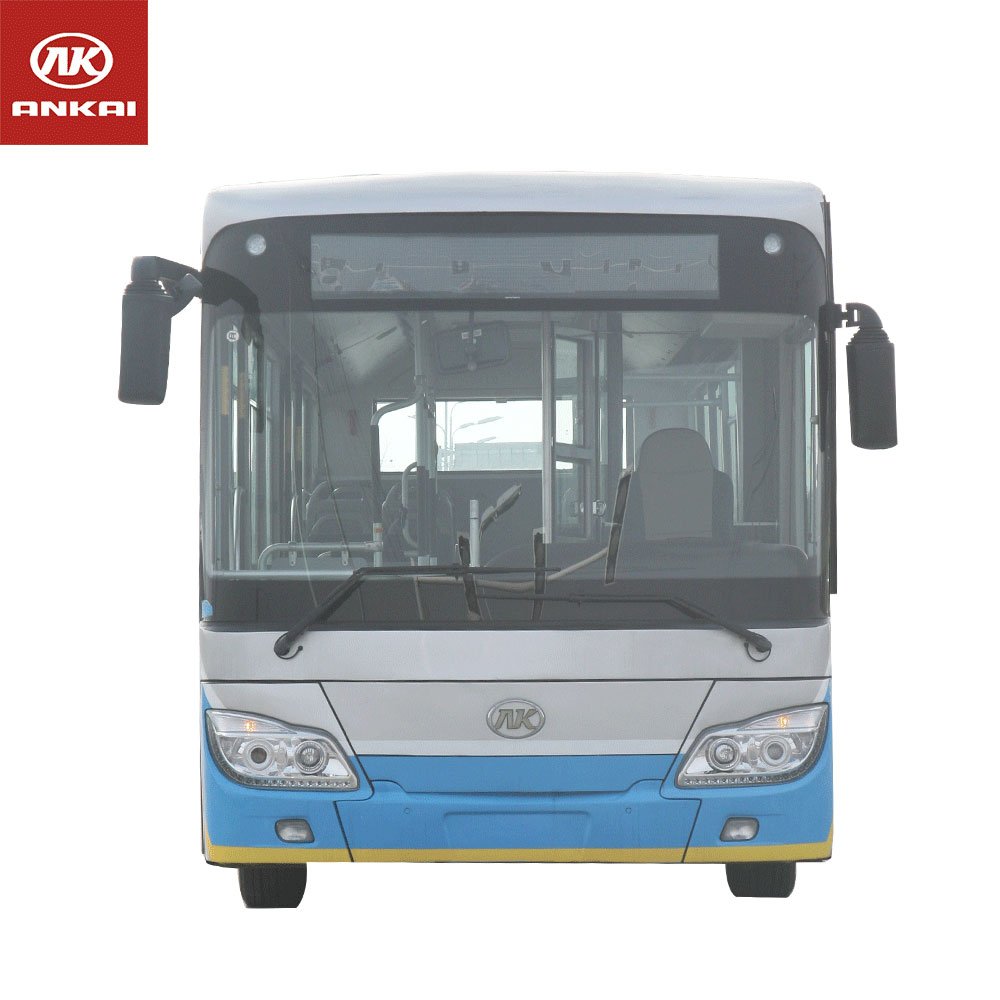 Customized 12 m diesel Bus