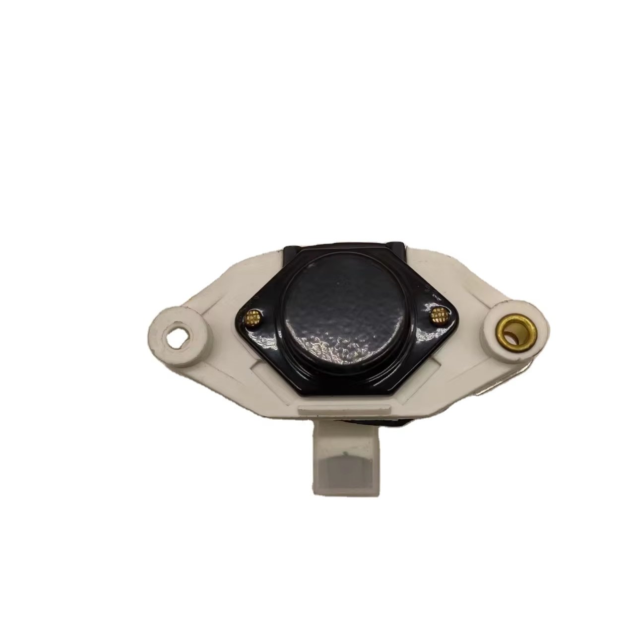 Auto Alternator Voltage Regulator OEM 1197311301 for Alternator for Car Alternator Accessories