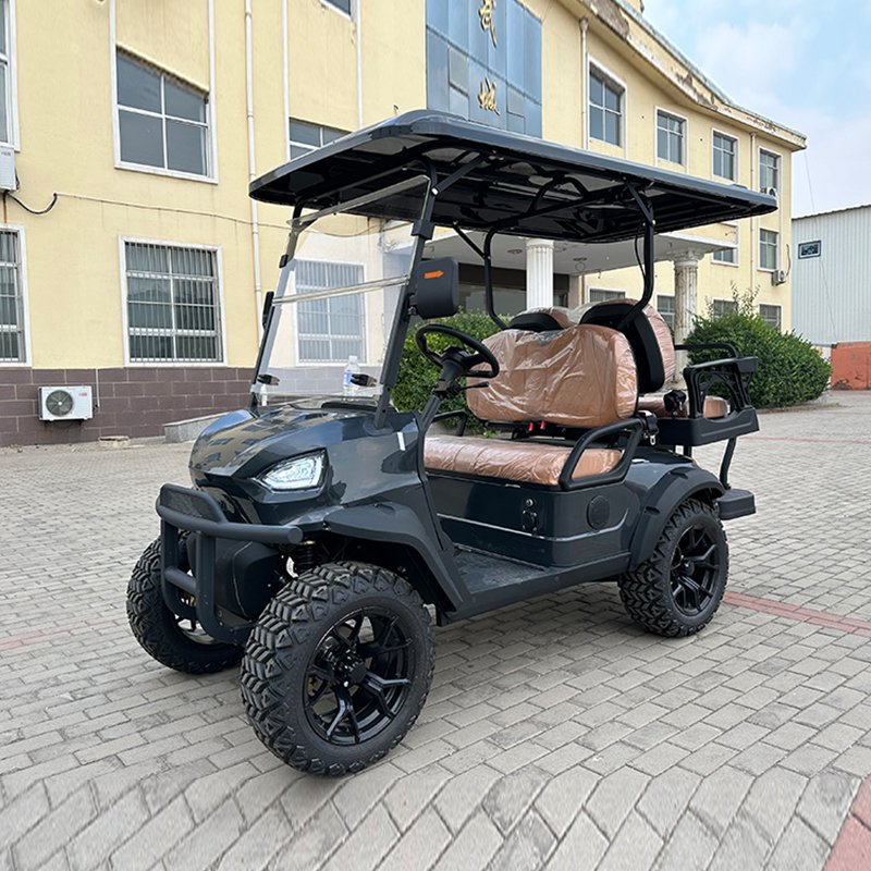 Large Screen Control Panel Electric Golfcart Sightseeing Bus Electric Off Road 2+2 Seats Vehicle Golf Cart