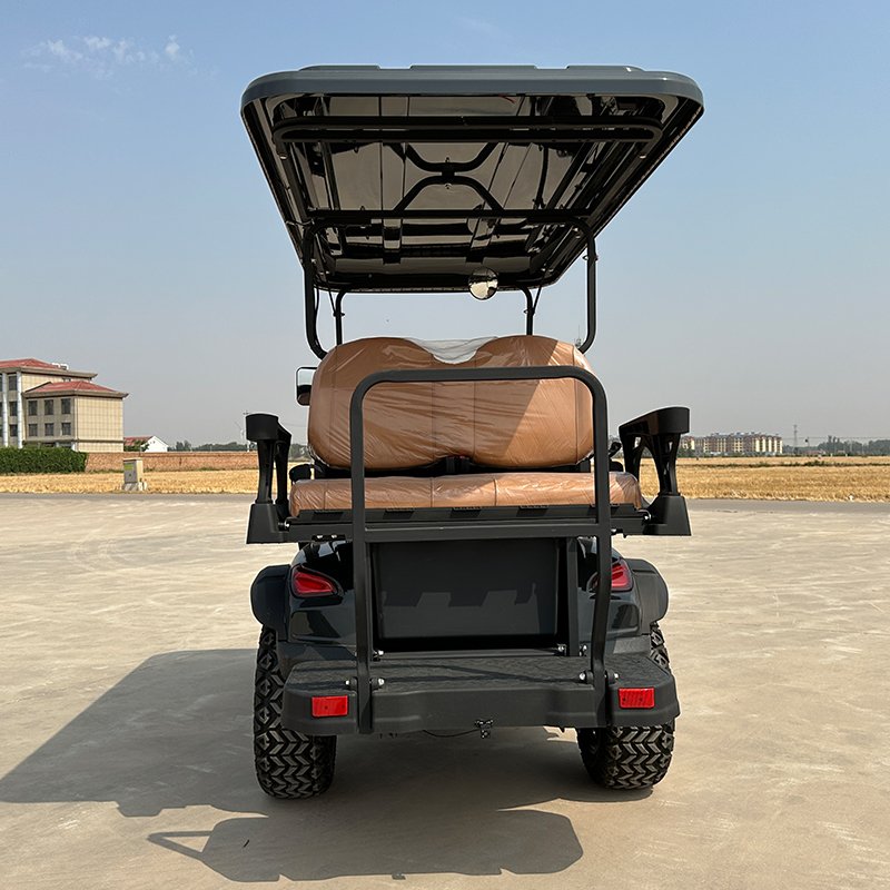 Large Screen Control Panel Electric Golfcart Sightseeing Bus Electric Off Road 2+2 Seats Vehicle Golf Cart