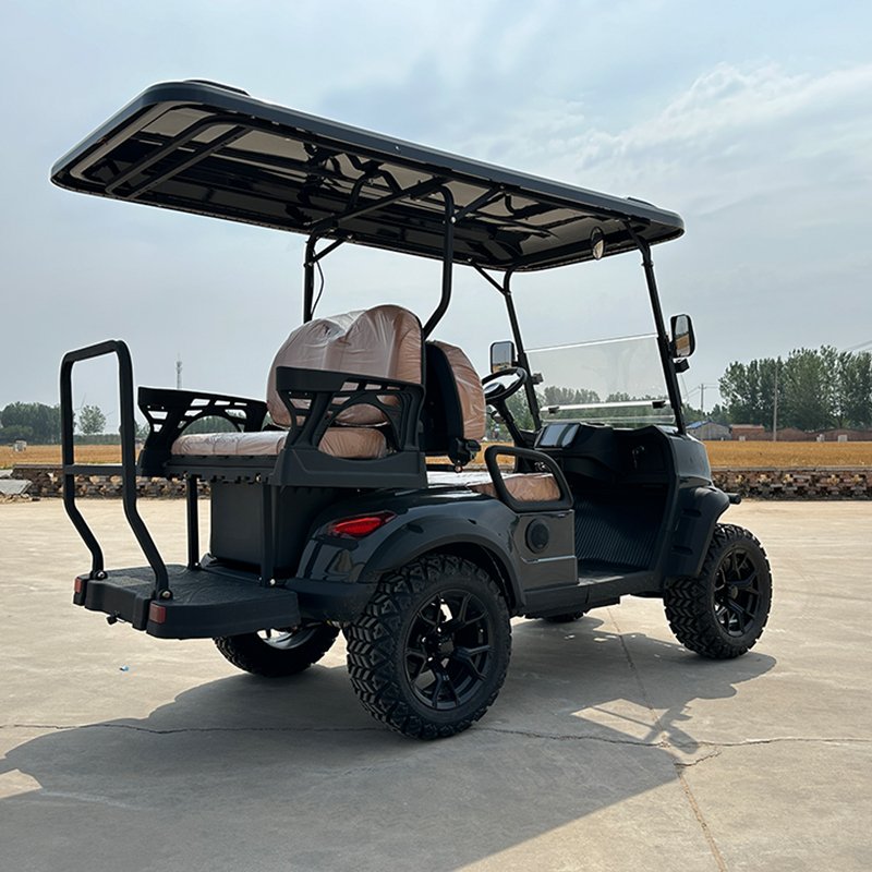 Large Screen Control Panel Electric Golfcart Sightseeing Bus Electric Off Road 2+2 Seats Vehicle Golf Cart