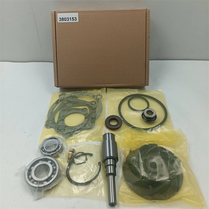 Chongqing CCEC auto engine spare parts KTA19 KTA38 diesel engine water pump repair kit 3803153 for Cum-min engine