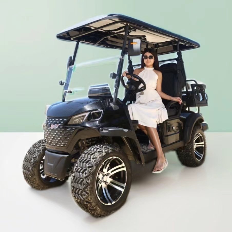 48V Golf Cart China Factory Direct Sales Club Car 2 Seats Cheap Electric Golf Cart DOT